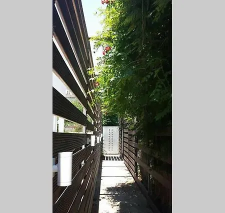 Art Gallery House *